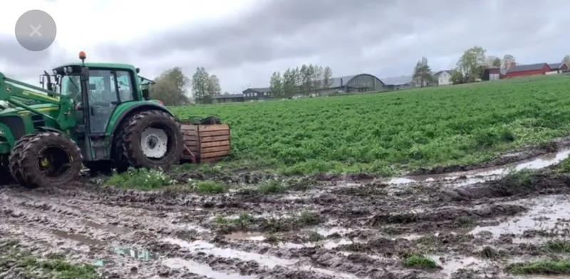 学习挪威语去挪威生活定居,中国人远嫁挪威受欢迎吗
