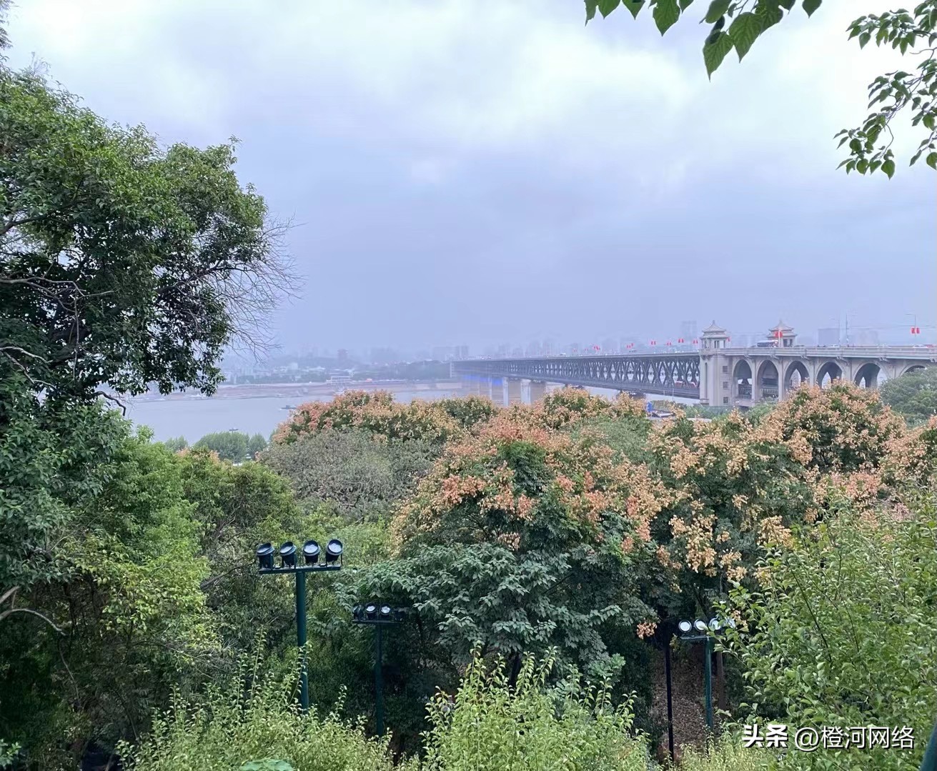 海外调查问卷操作流程,2022海外问卷调查方法