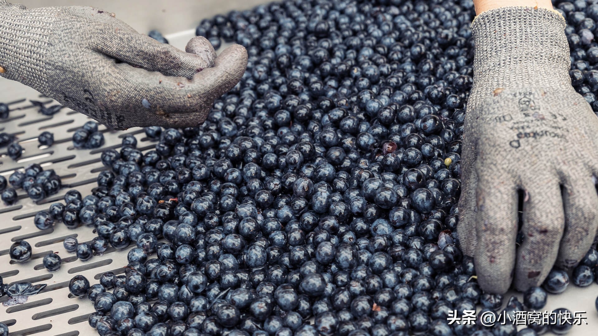 chateau波尔多酒庄,chateauhautbrion价格