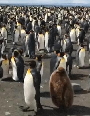 住酒店时显示已经在其他酒店入住,住酒店发现是自己几年前婚房