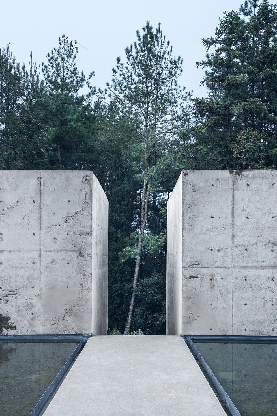 中国茶申遗成功吗,中国茶申遗成功44项名单