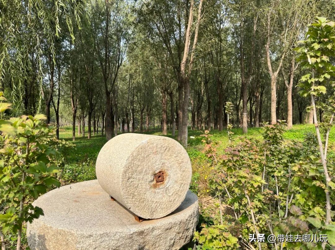 藏在二环的超小众免费公园,免费游玩的小公园