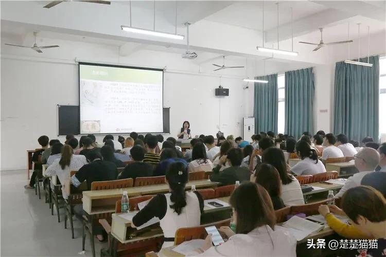 鐭瘒灏忚甯濆笀,瀛藉笀