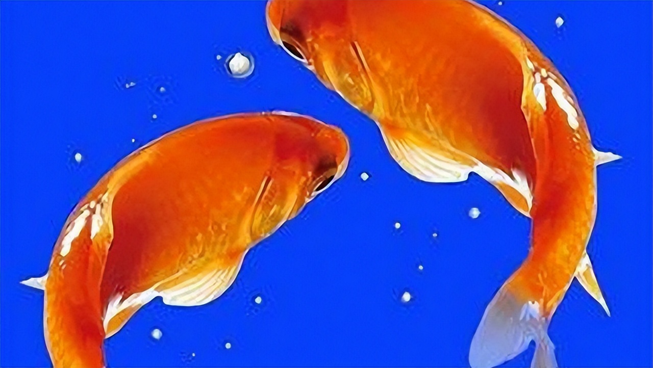 萍乡国字号农产品,江西十大品牌农产品