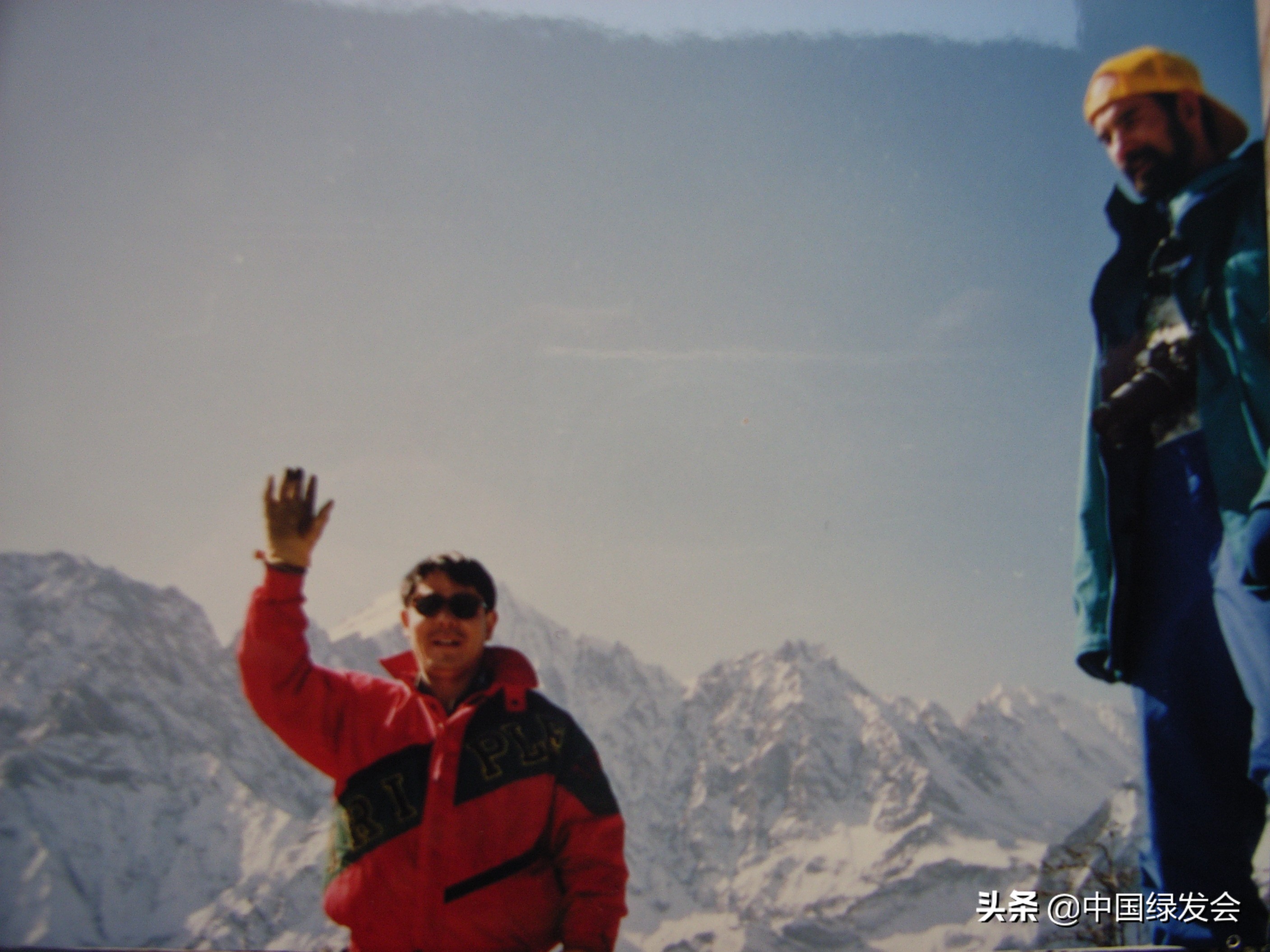 一次遇6只雄性,金属般光泽美不胜收|四川岷山无线电跟踪绿尾虹雉