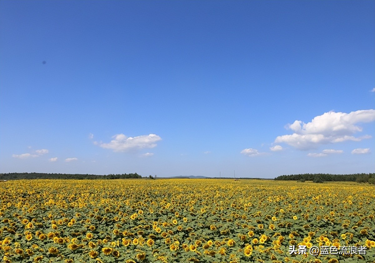 吉林永吉口前常住人口,吉林省多少人口2023