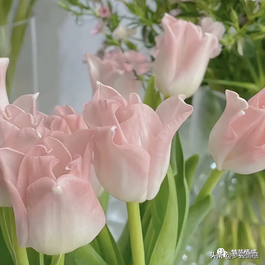 暖心正能量朋友圈高质量句子,适合发朋友圈的高情商暖心文案