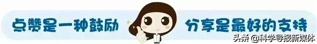 小细胞造就大健康等你探秘干细胞,科普健康知识干细胞