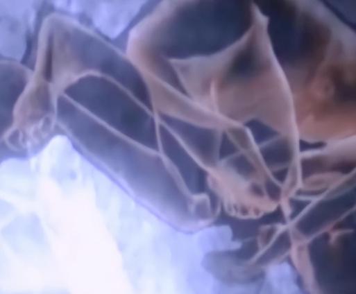 91岁老太怀孕离奇真相,老太意外怀孕60多年