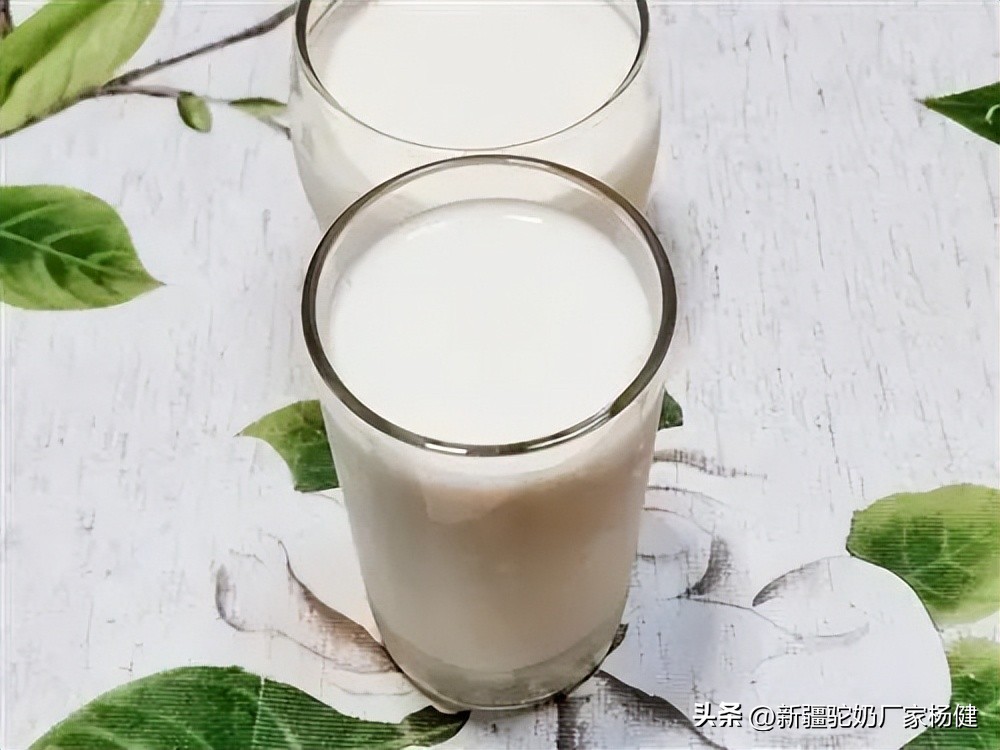 你买的是真驼奶吗,达牧优驼奶是真的吗