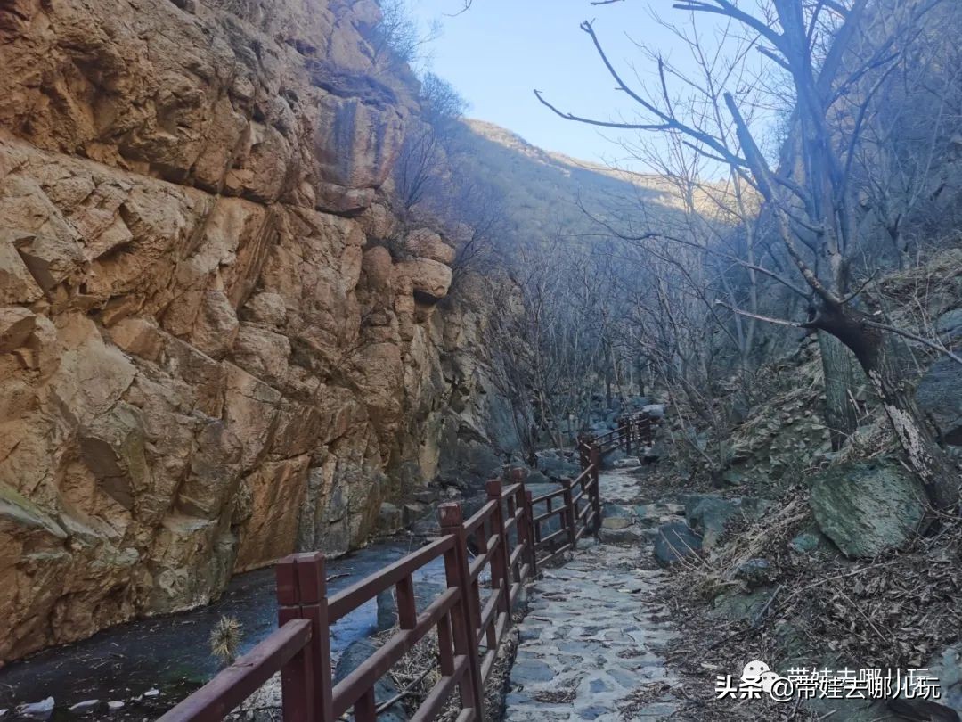 中国8条最美徒步路线带娃必去,发现一处幽静散步的好去处