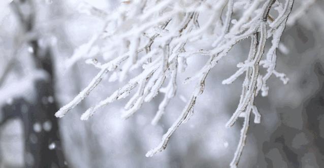 鉴赏古诗终南望余雪,描写雪景的诗句古诗大全