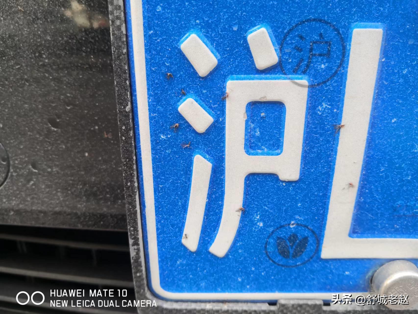 车辆号牌种类与号段,汽车号牌数字认识