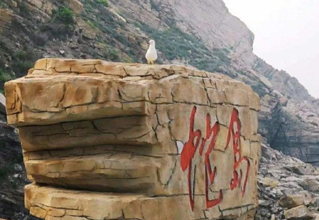 大连蛇岛上的“守蛇人”，守着2万条毒蛇，管蛇吃喝，为蛇涂药水