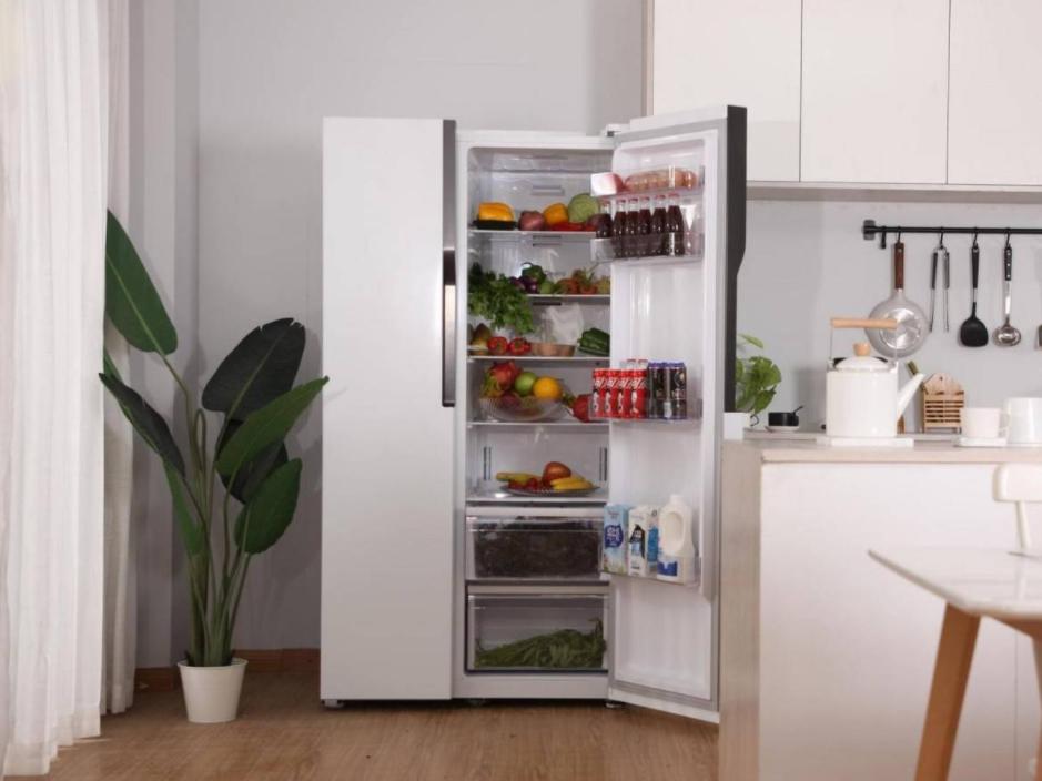 冰箱选购有技巧照着买不吃亏,选购冰箱应该知道的基本常识