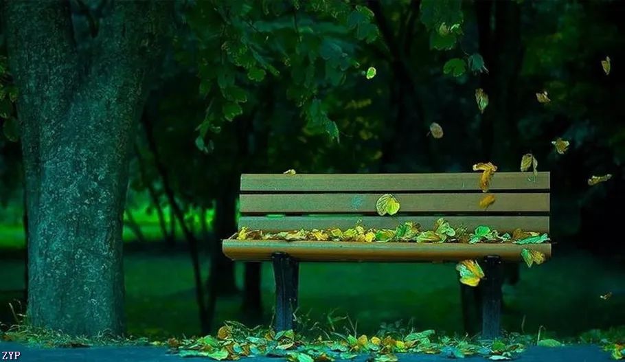 最美中国年摄影作品,大美中国全国摄影大赛