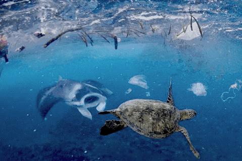 为什么现在有人回收dvd旧光盘,废旧光盘回收有什么用