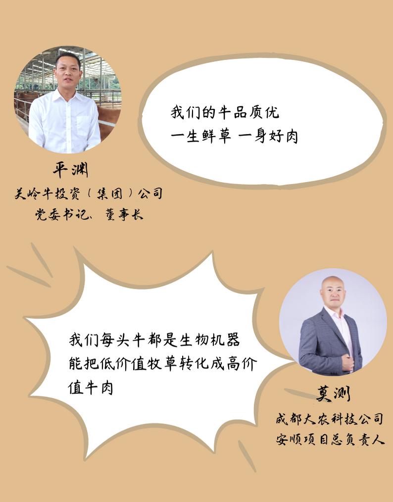 黄牛牛肉贵州,关岭黄牛有机牛肉