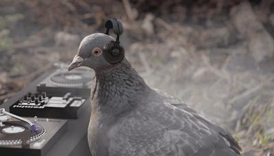 中山为什么出名,中山为什么这么值得买