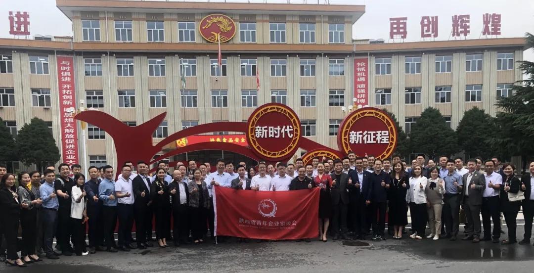 团团工作回顾,团团现在的工作