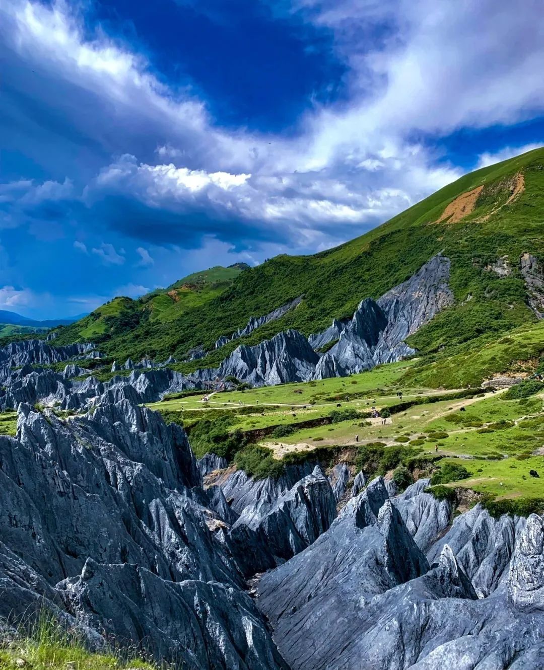火出了圈,甘孜文旅局长化身侠客火出圈