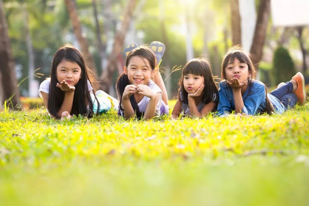 鹦鹉学舌的声音,鹦鹉学舌的训练方法