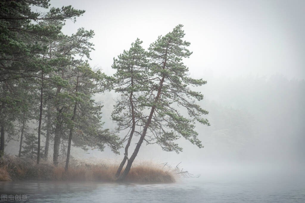 形容冬天阳光温暖的诗词,冬日温暖的诗句原创