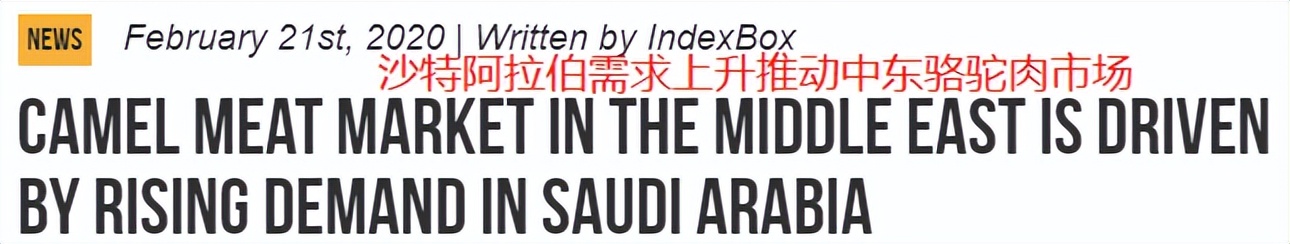 把骆驼卖给阿拉伯人，朋友两年赚出了七套房