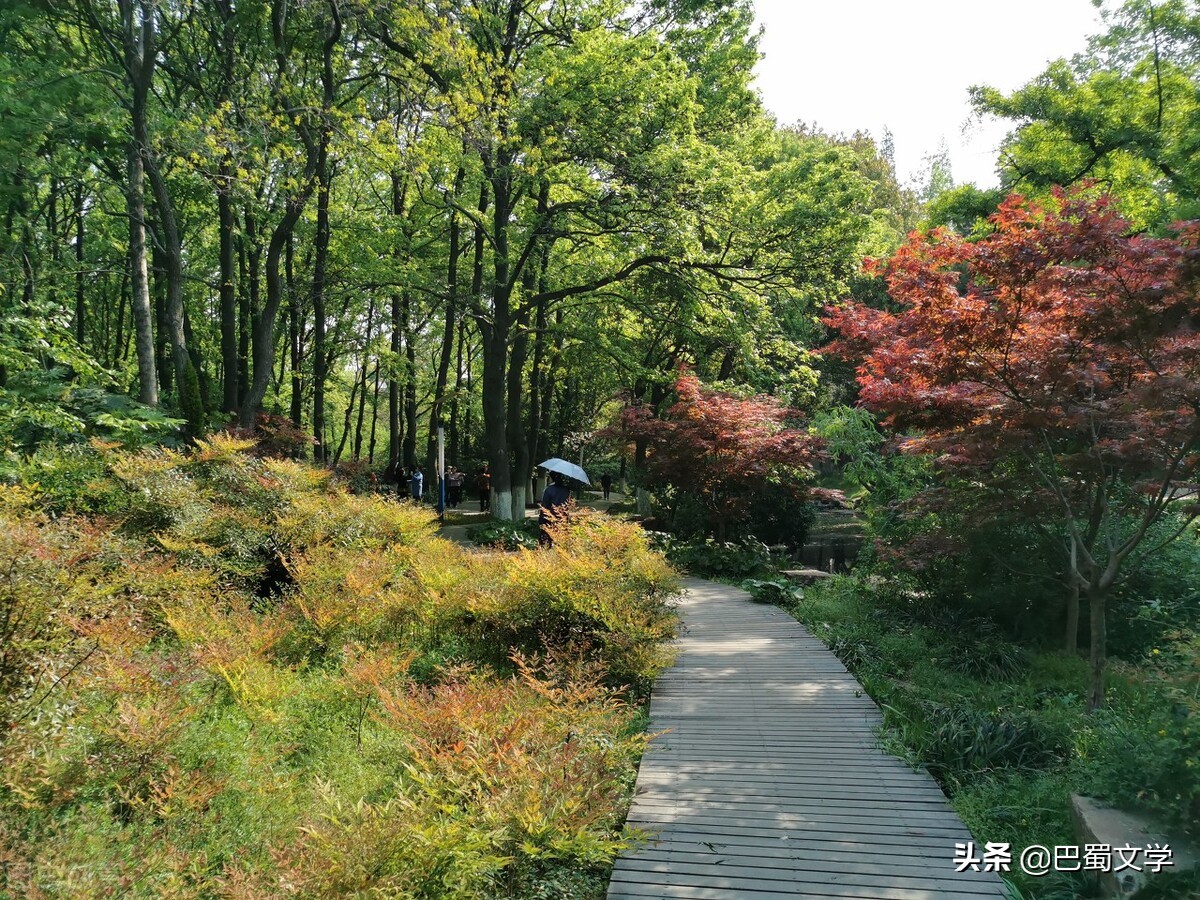 散文形式的你是人间四月天,人间四月天是诗歌还是散文