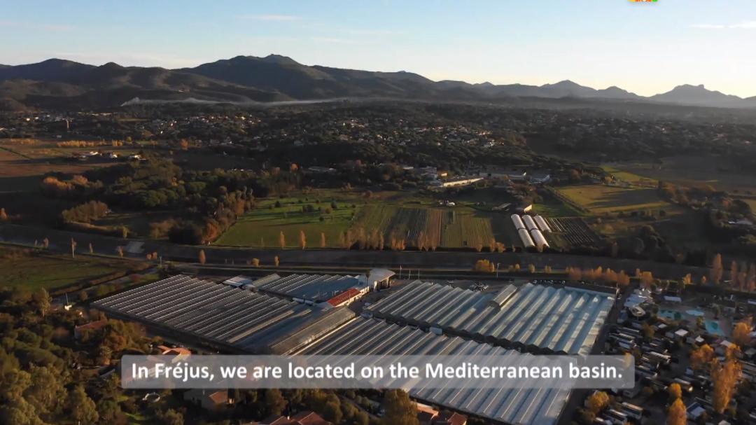 娉曞浗鑾幈灏斾粰瀹㈡潵鍝佺,鑾幈灏斾粰瀹㈡潵