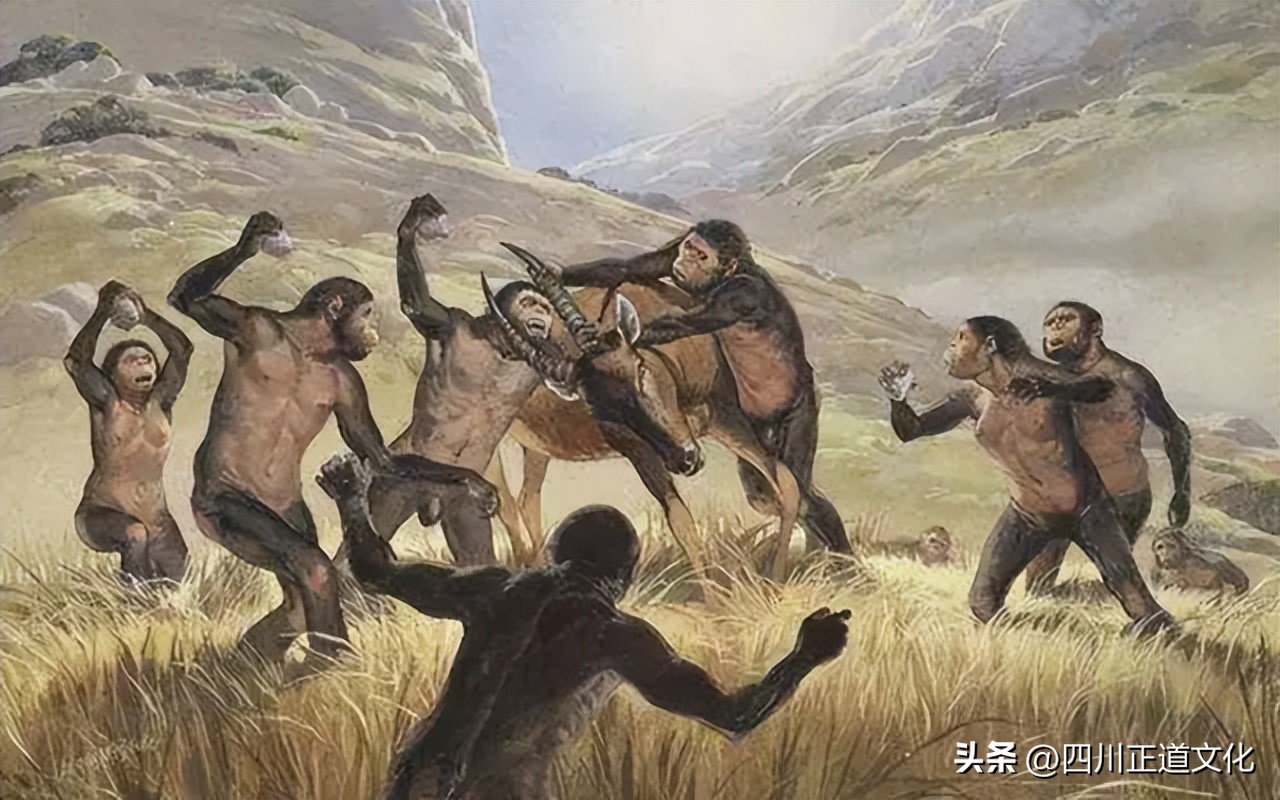 东亚人与白人体质差距,中国人与白种人对比