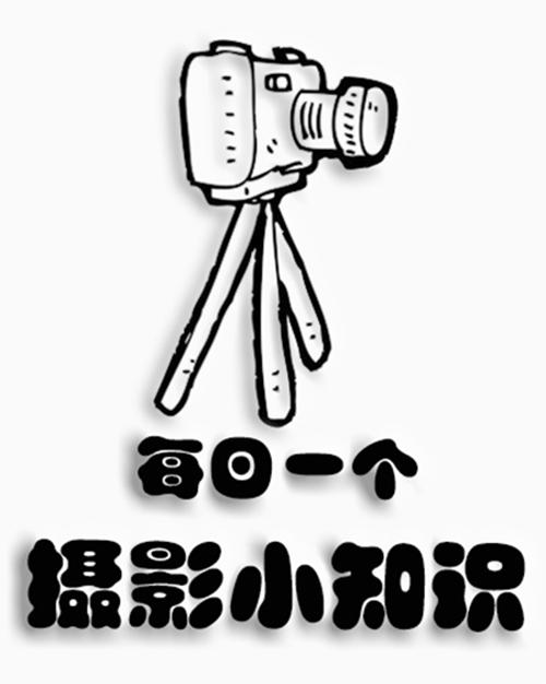 摄影基础知识相机镜头的三大分类,摄影师必备镜头有哪些品牌