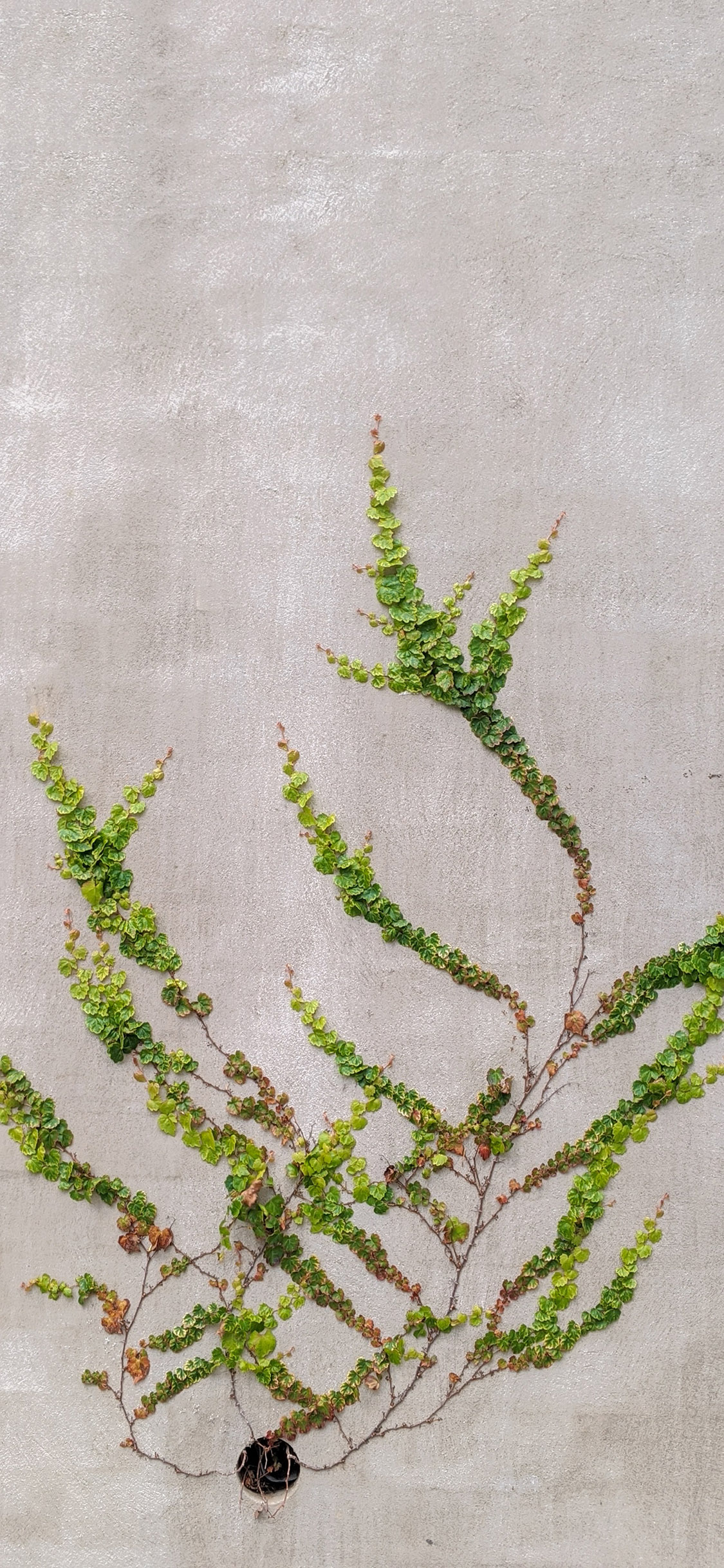 2023年手机壁纸,2023年最新款超清手机壁纸