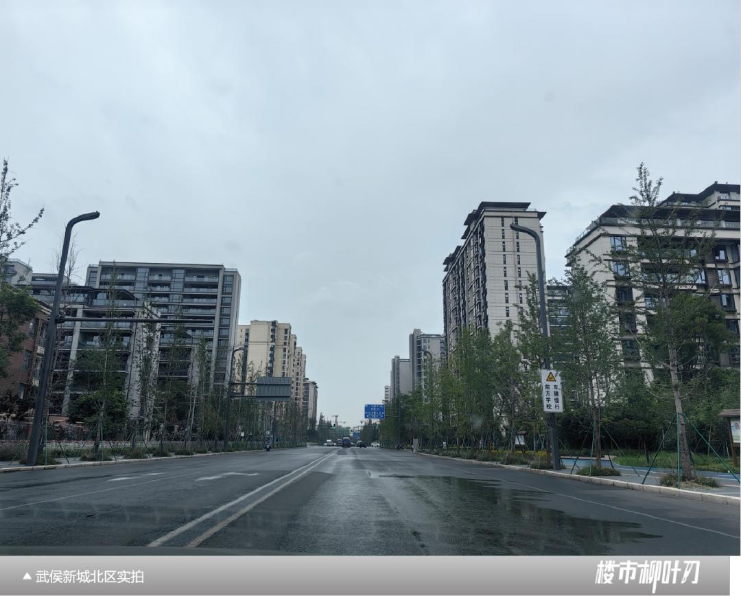 成都武侯新城板块,成都主城区板块分析最新