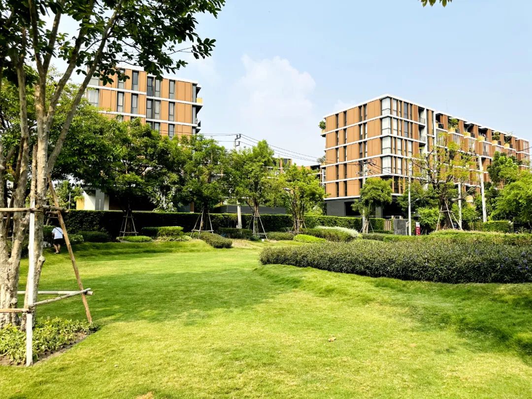 在泰国买房的人都踩过哪些坑？泰国养老置业避雷！建议收藏