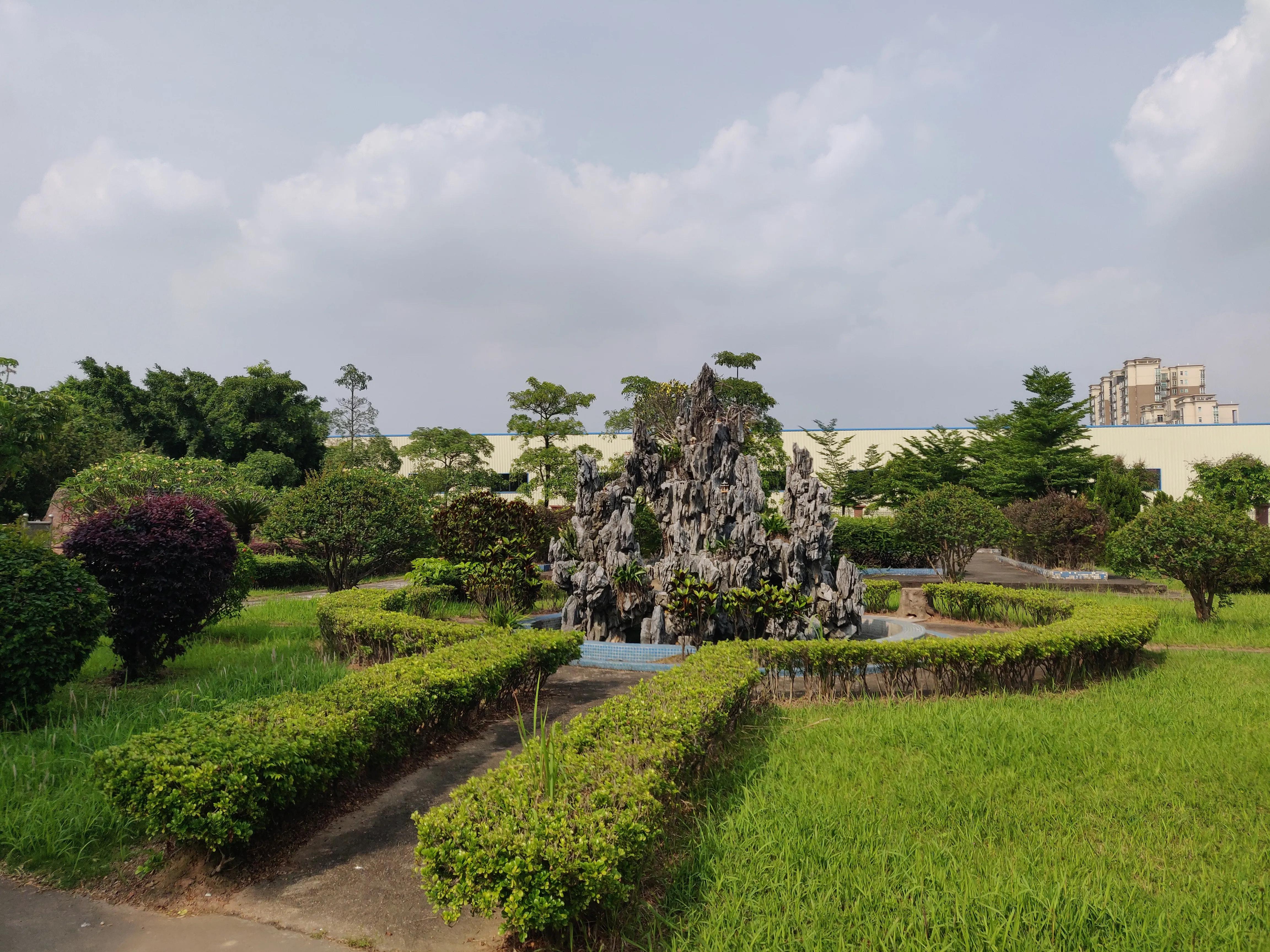 刘德华与远昌小学,刘德华童星