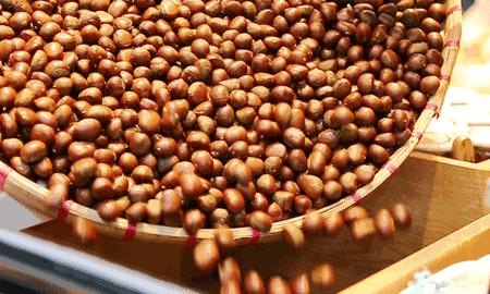 湖北有哪些红茶,湖北最受欢迎红茶