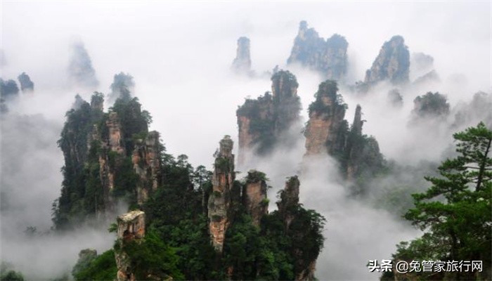 黄山云海好看还是张家界云海好看,下雨天张家界旅游带什么