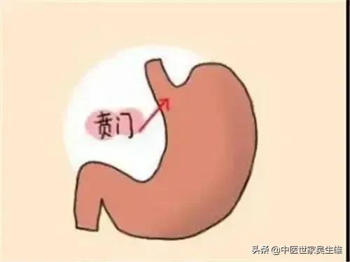 甘麦大枣汤治口吃,甘麦大枣汤治疗干燥综合征