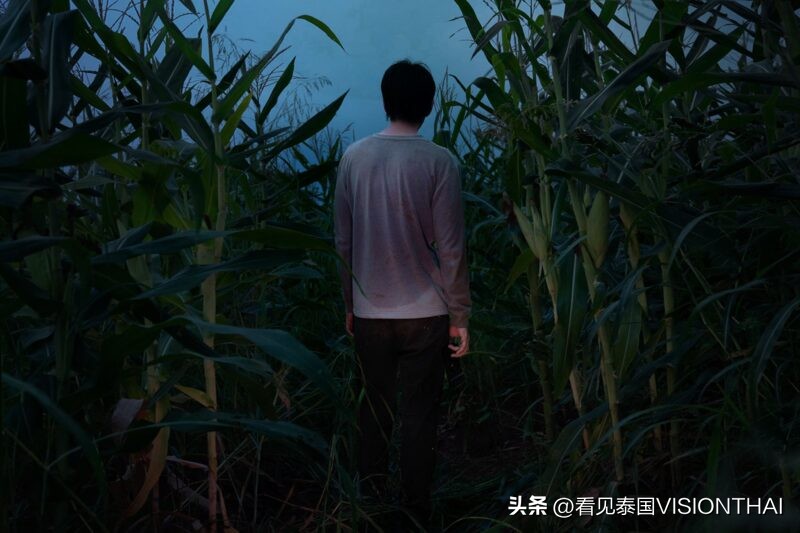 netflix上类似天才枪手的电影,天才枪手在netflix上线吗