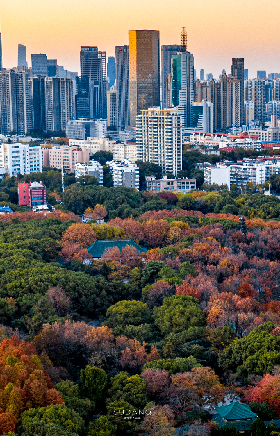 大自然塑造了我,大自然塑造者