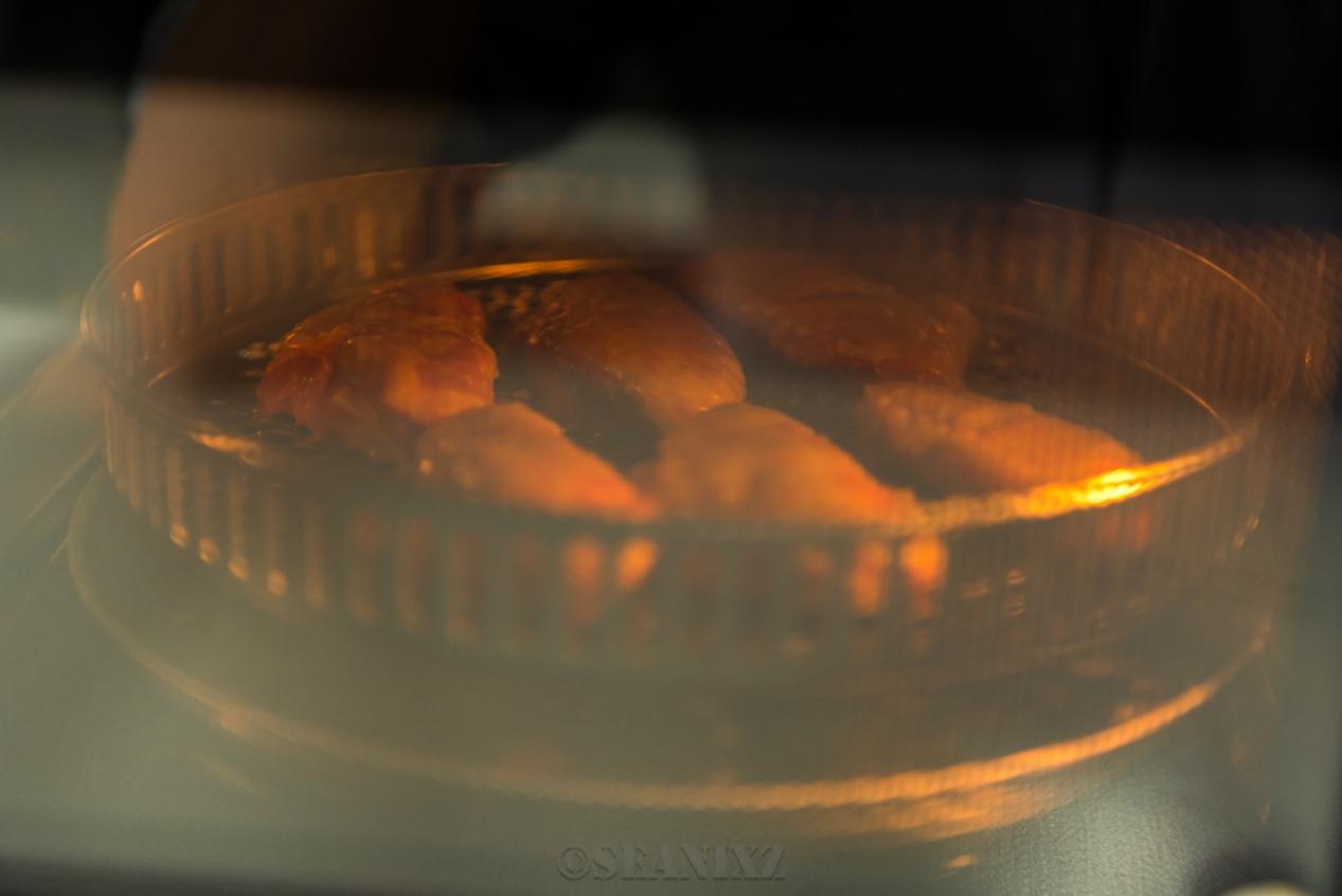 马克西姆卢瓦尔空气炸锅微波炉,马克西姆微波炉和蒸烤一体机测试