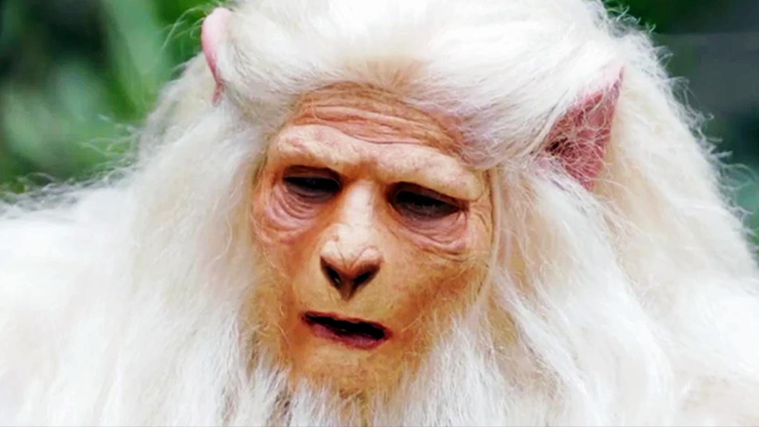 张无忌和觉远的九阳神功,张无忌练九阳神功什么实力