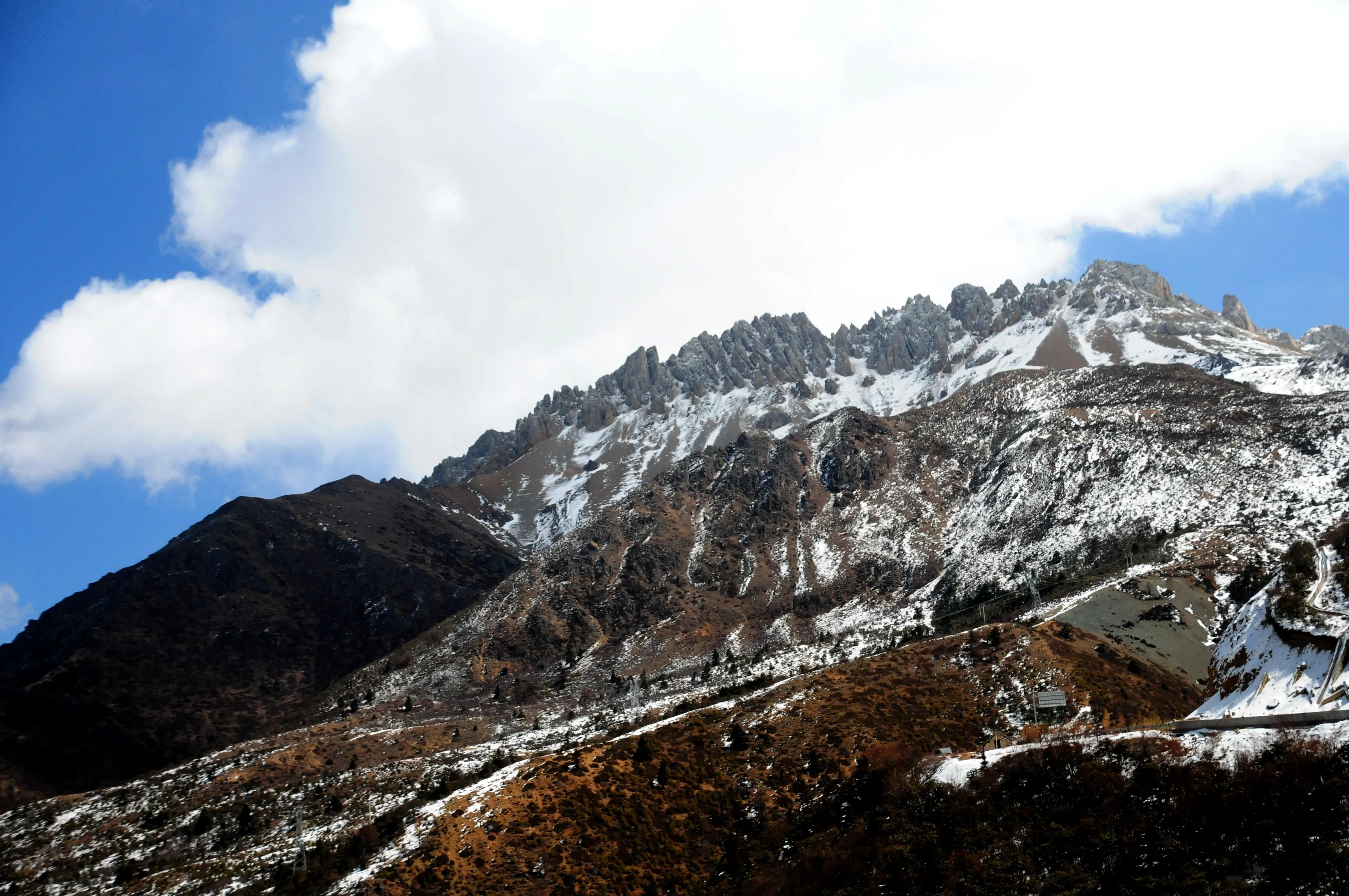 雪泥鸿爪全部视频,雪泥鸿爪打一生肖