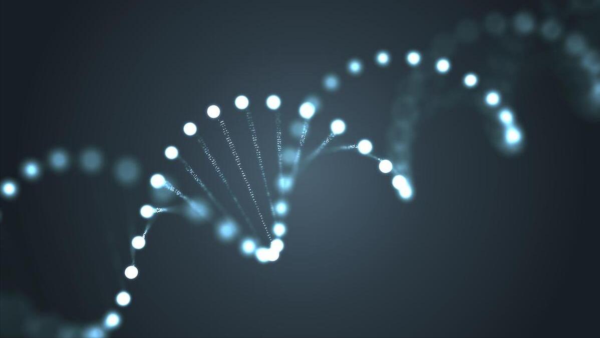 每个人都有处女膜？女性第一次夫妻生活一定会出血？告诉你答案