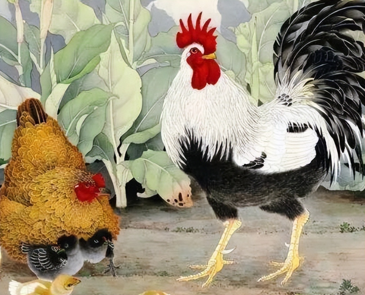 属鸡人在哪一年运气比较差,属鸡人运气解析大全