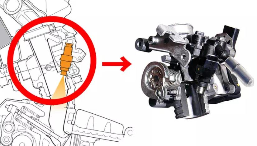 二轮考古学-本田幼兽编年史合集（1952-今）