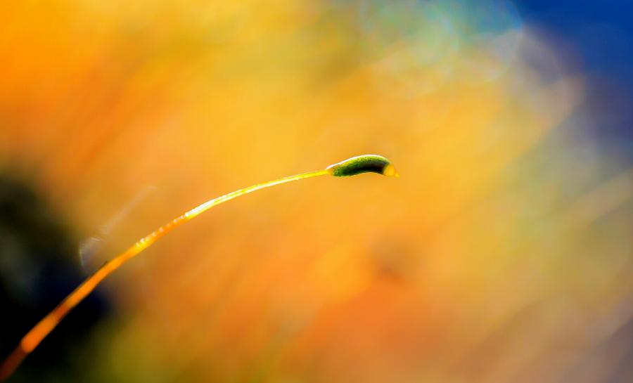 右眼皮跳真的会有不好的事情发生,右眼皮跳真的会有不好的事情发生吗