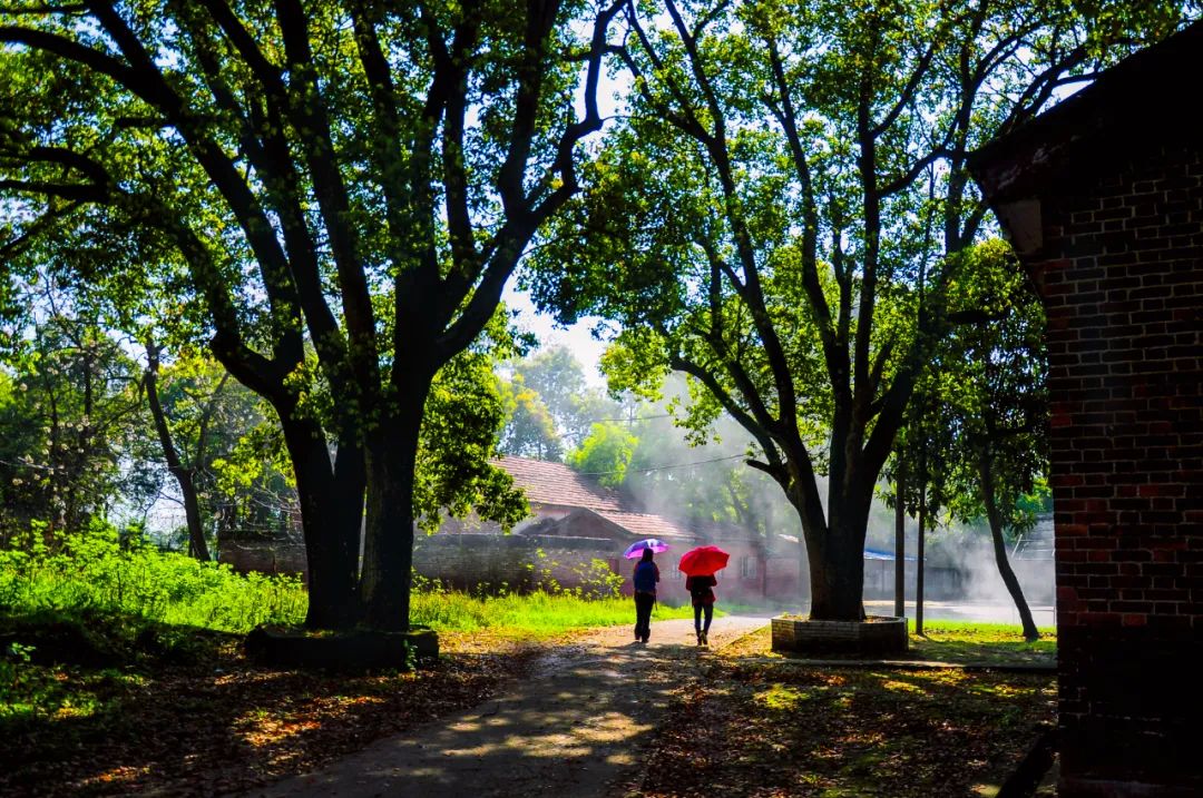 一首很美的田园诗清新怡情,经典田园风光诗10首