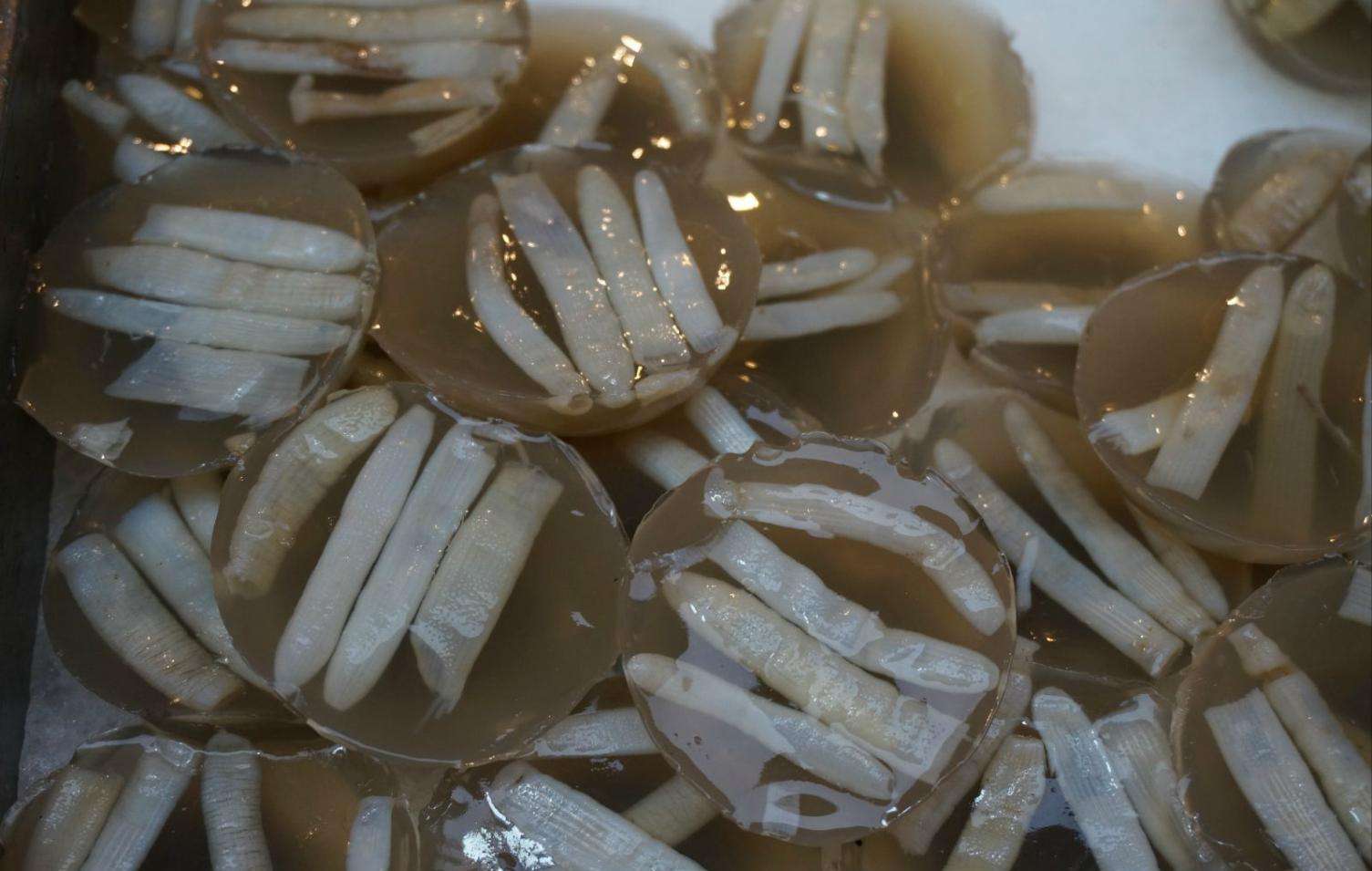 刷新对福建菜的认知，这两款“海虫菜”，有哪个敢尝试一下？